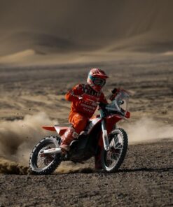 Arctic Leopard E-XE 800 (Cheetah) Electric Motorcycle